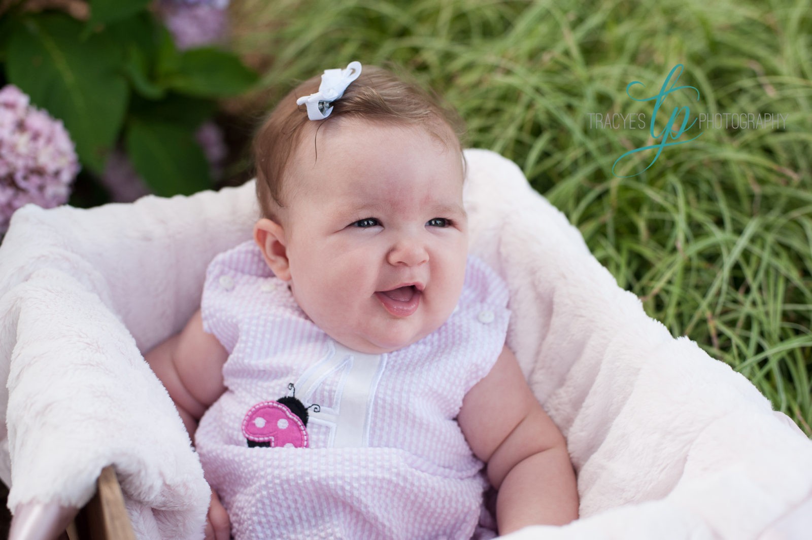 Allie’s 3 month | Agricenter Jackson TN | Tracye’s Photography