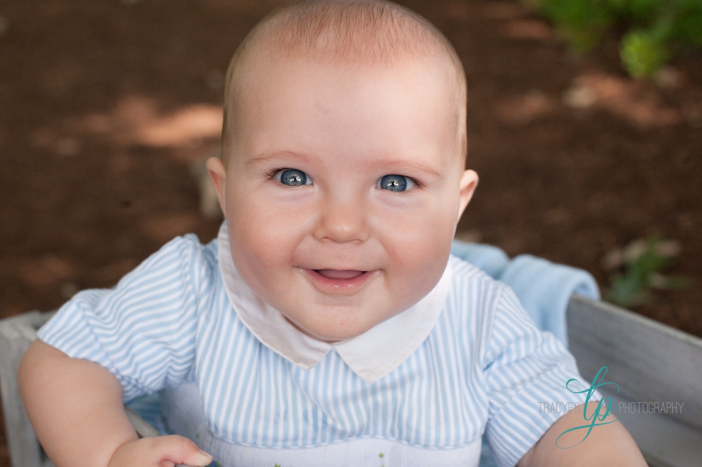 Daniel 6 months | Agricenter Jackson TN | Tracye’s Photography