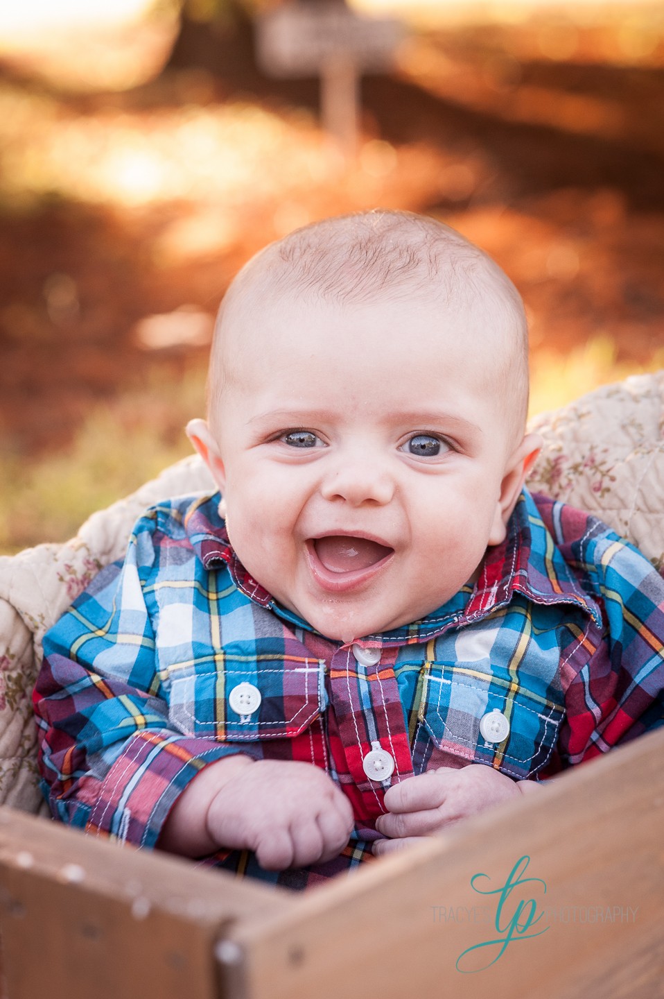 Iris & Oliver 3 month session | The Agricenter Jackson TN