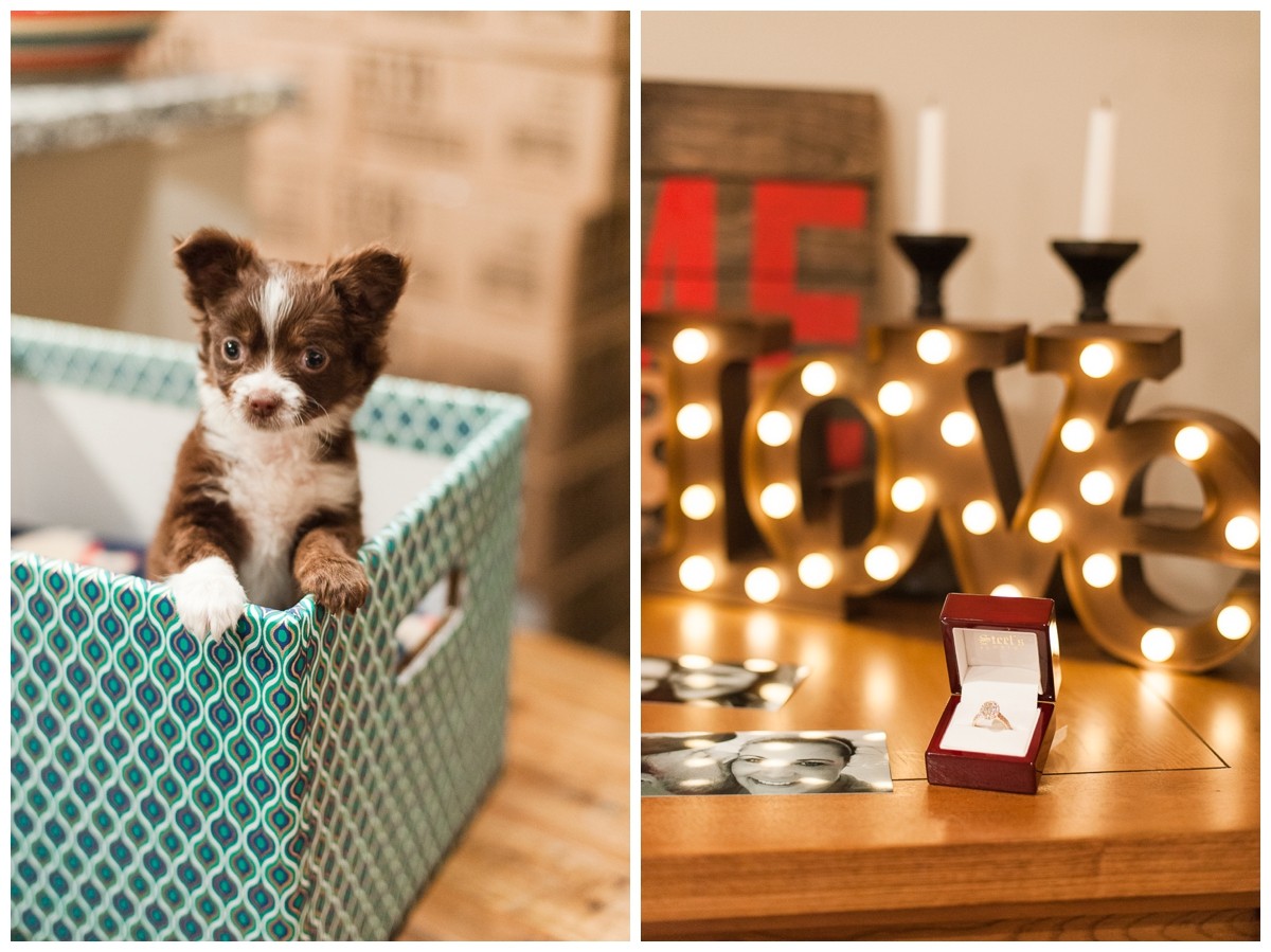 Nashville proposal the puppy and ring with sign