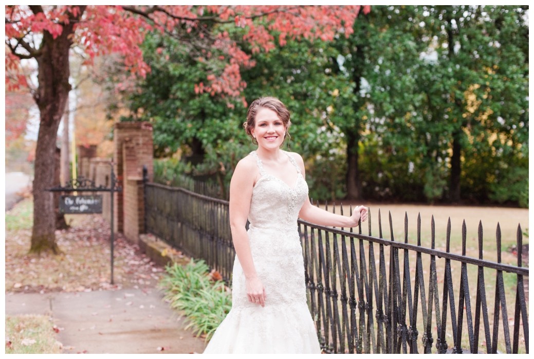 The Columns of Bolivar bridal by fence