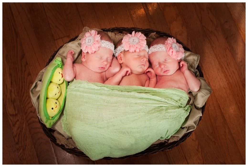 Newborn Triplets in basket