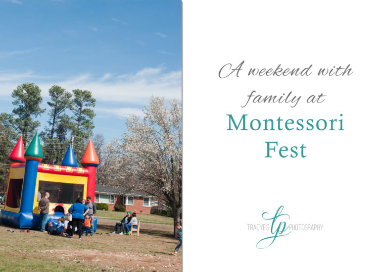 Montessori Fest | Community Montessori Jackson TN