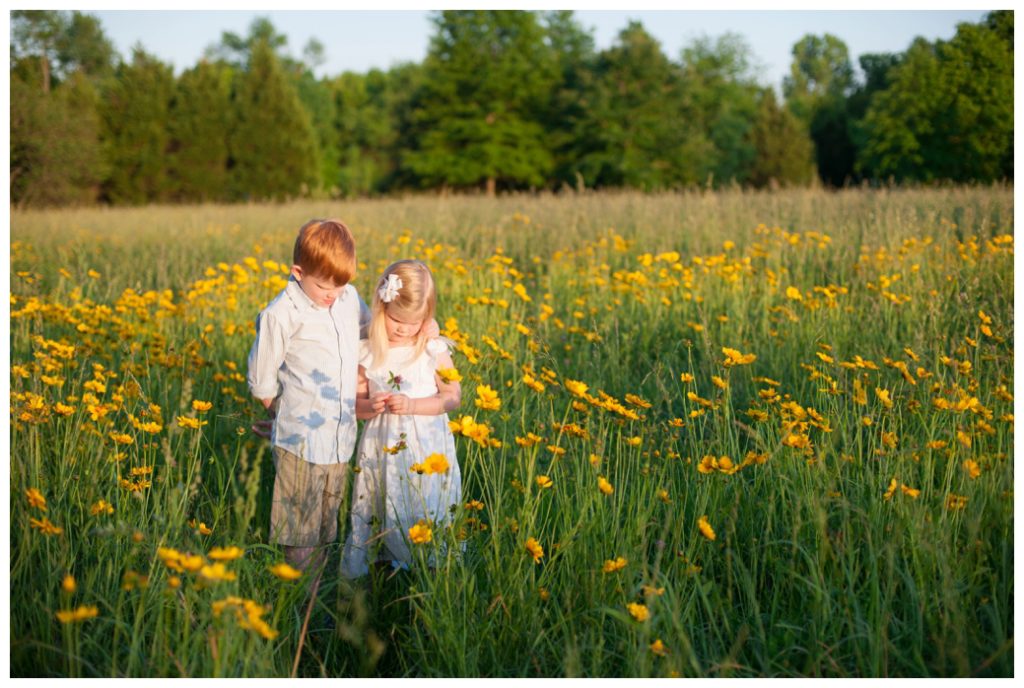 Wildflowers pictures sister and brother standing in wildflowers