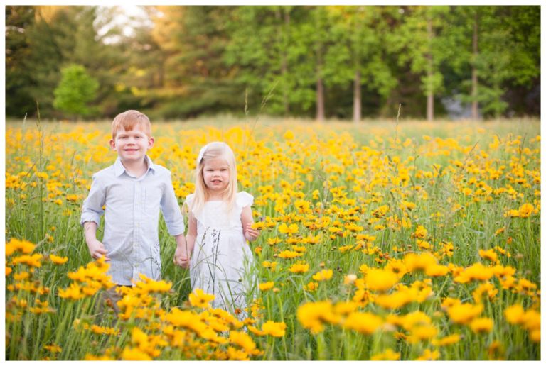 Wildflowers  |  Pictures of my babies