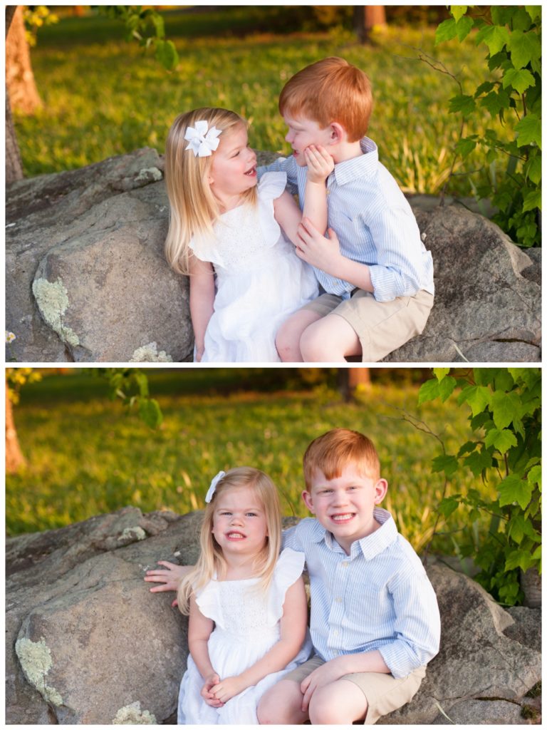 Wildflowers pictures sister and brother on a rock