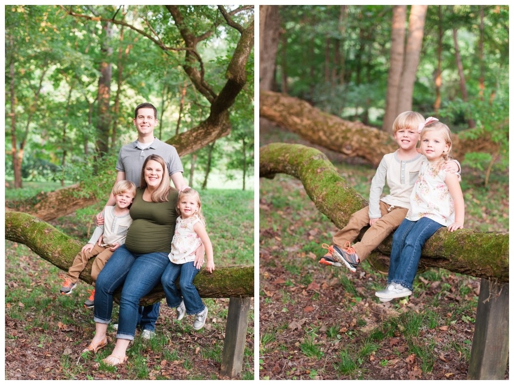 Maternity Family Session family sitting on tree and kids sitting on tree