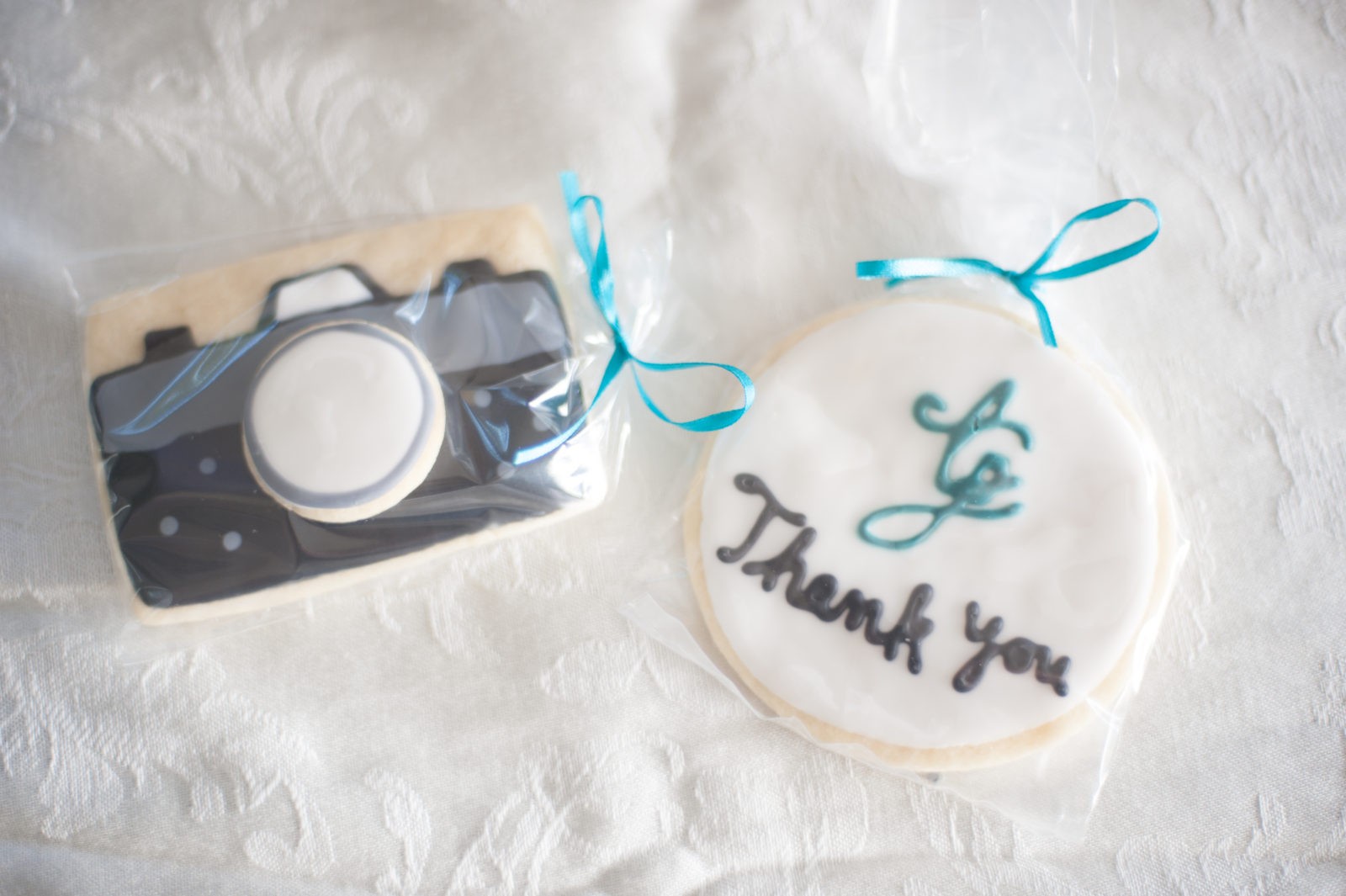 bride and groom picnic 2017 Amber's Cookies