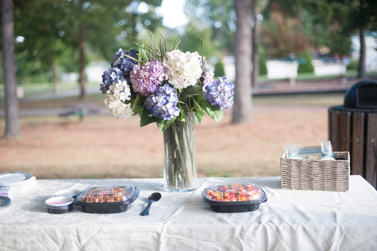 bride and groom picnic 2017 spread