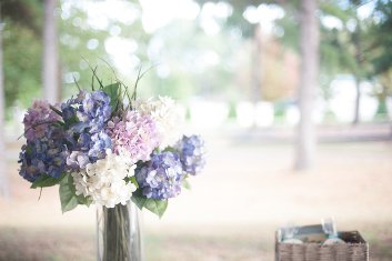 Bride & Groom Picnic | First Annual