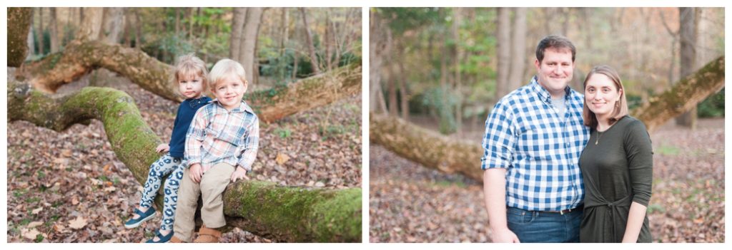 Fall Mini Sessions 2017 mom and dad and kids on tree