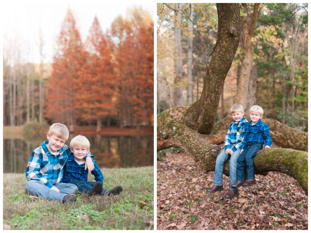 Fall Mini Sessions 2017 brothers by pond and on tree