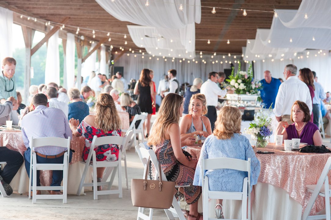 The Columns in Bolivar & Falcon Ridge Farm Wedding reception guests