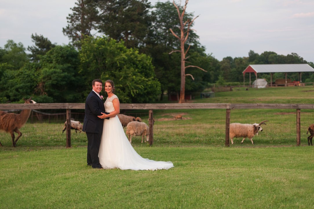 The Columns in Bolivar & Falcon Ridge Farm Wedding bride and groom