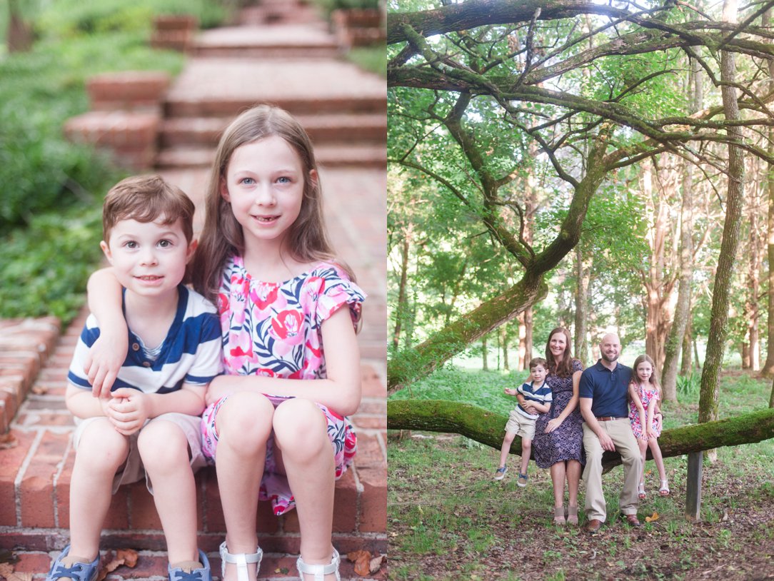 the lewis family kids and family on tree