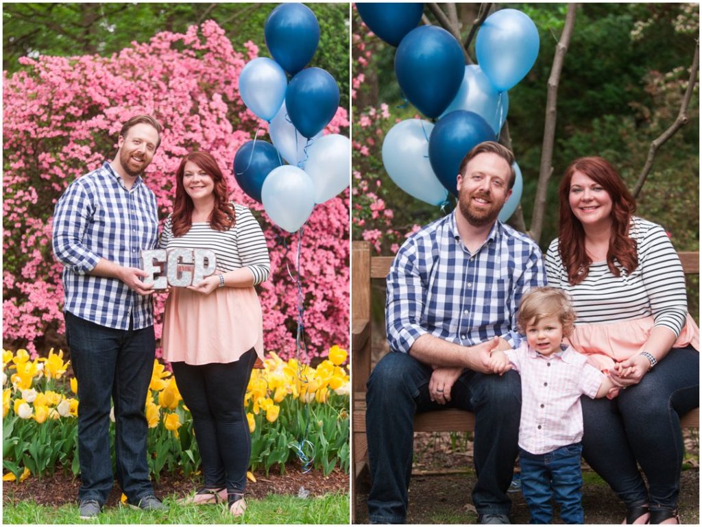 Dixon Gallery & Gardens Gender reveal _0132