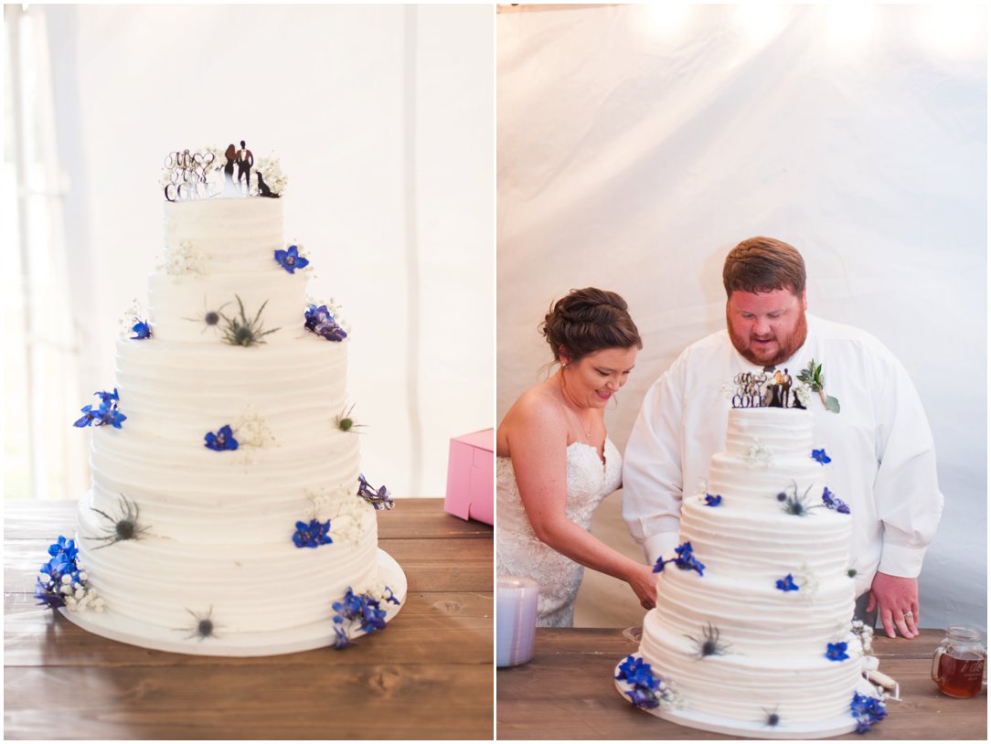 bride and groom cutting the cake