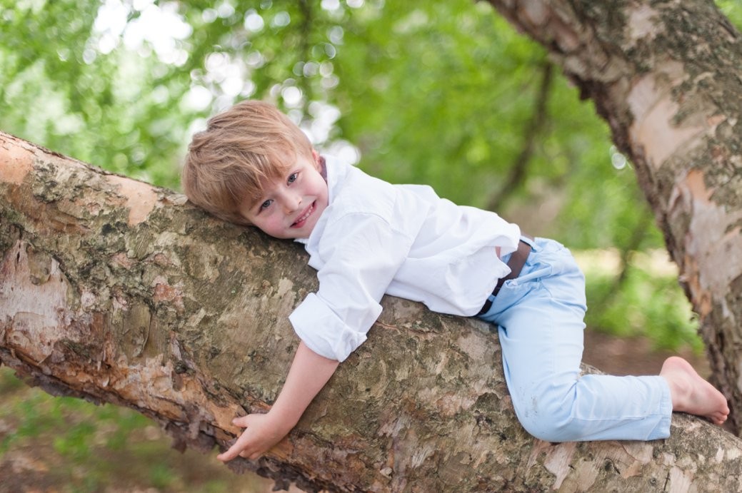 little boy on tree