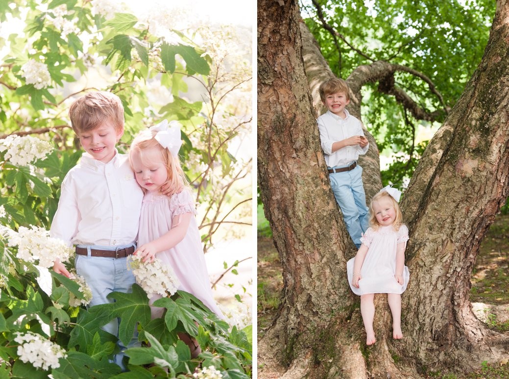 kids in tree and kids in flowers