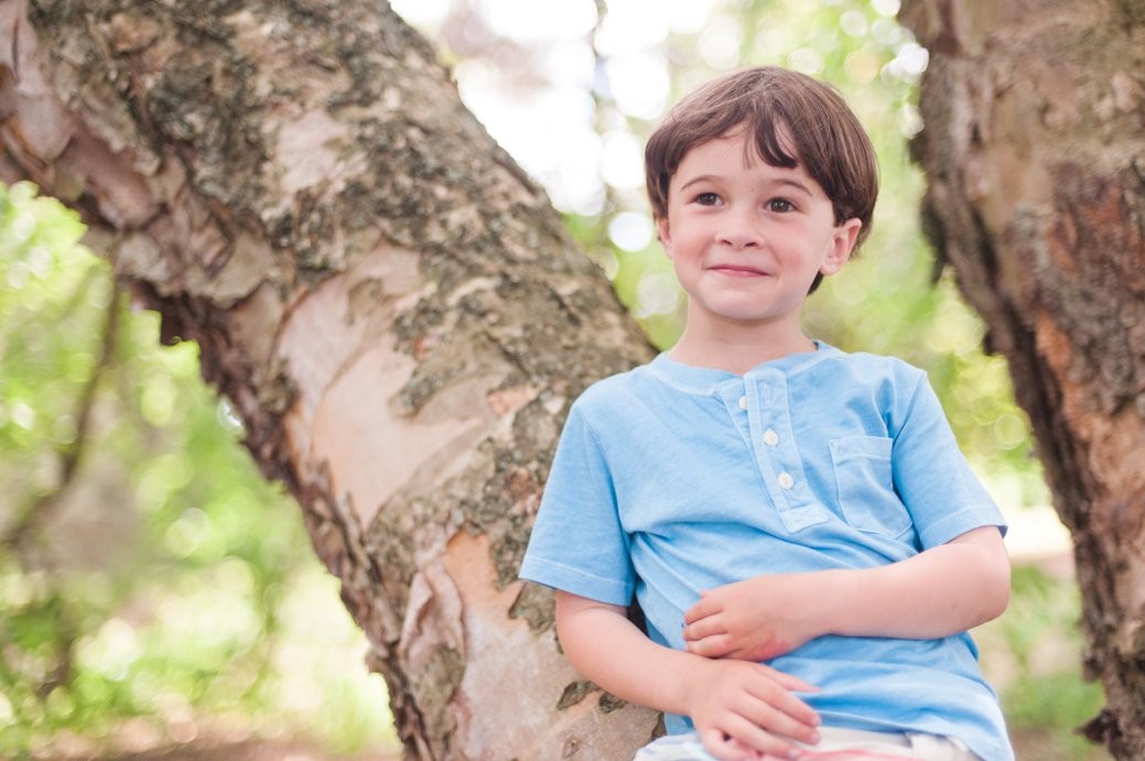 little boy in blue in tree