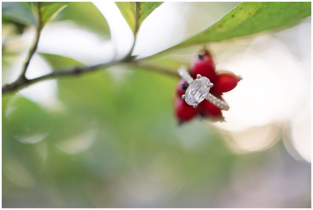 engagement ring hung on limb